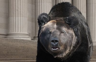 From record rise to bear market: Why investors shouldn’t fear bitcoin’s sudden fall