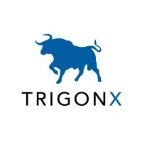 TrigonX’s Digital Asset Market Review