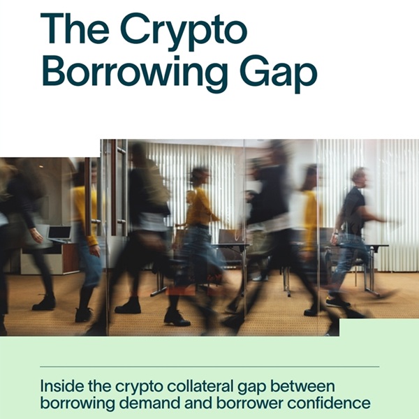 Bitcoin-backed loan market
